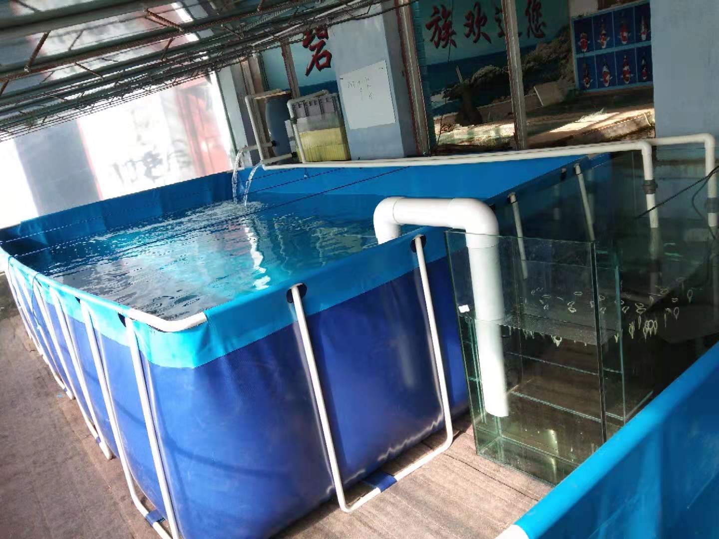 水族馆锦鲤支架鱼池